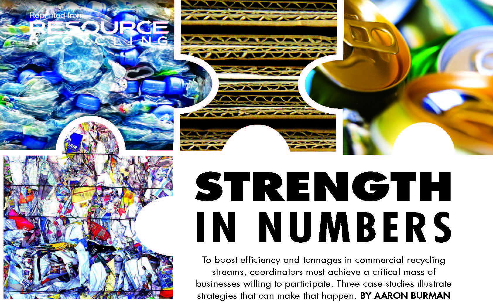 Strength in Numbers - cover image
